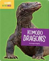 Lizards In The Wild: Komodo Dragons