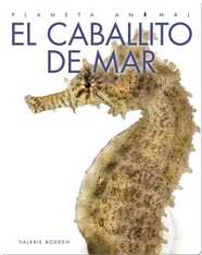 Planeta Animal: El Caballito de Mar