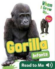 Gorilla Infants