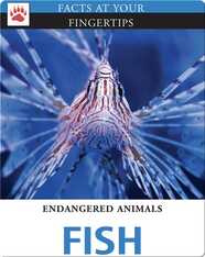 Endangered Animals: Fish
