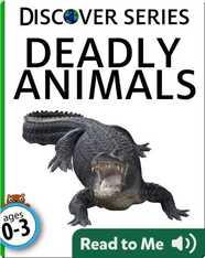 Deadly Animals