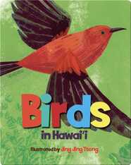 Birds in Hawaii