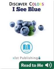 Discover Colors: I See Blue