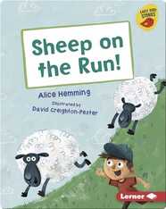 Sheep on the Run!