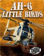 AH-6 Little Birds