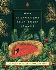 Why Evergreens Keep Their Leaves