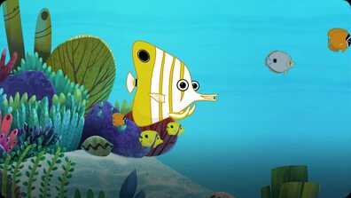 I’m A Butterfly Fish book