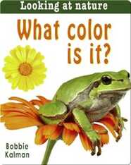 What color is it?