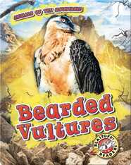 Bearded Vultures