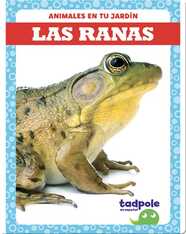 Las ranas