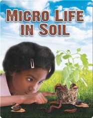 Micro Life in Soil