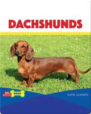 Dachshunds