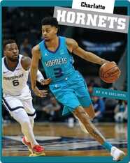 Insider's Guide to Pro Basketball: Charlotte Hornets
