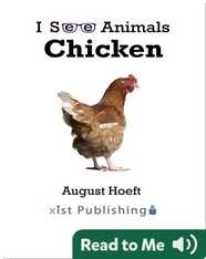 I See Animals: Chicken
