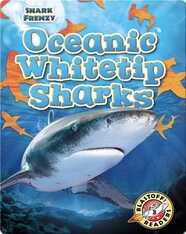 Shark Frenzy: Oceanic Whitetip Sharks