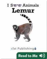 I See Animals: Lemur