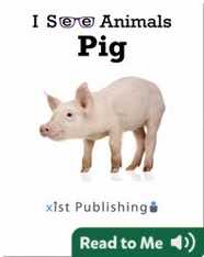 I See Animals: Pig