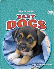 Animal Babies: Baby Dogs