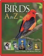 Birds A to Z