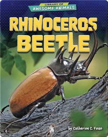 Awesome Animals: Rhinoceros Beetle book