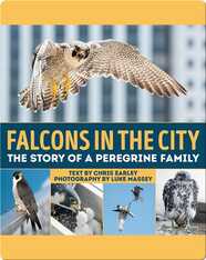 Falcons in the City: The Story of a Peregine Family