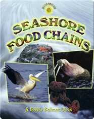 Seashore Food Chains