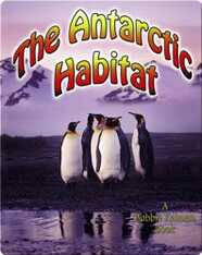The Antarctic Habitat