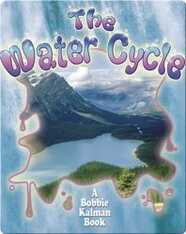 The Water Cycle