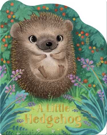 A Little Hedgehog book