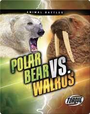 Animal Battles: Polar Bear vs. Walrus