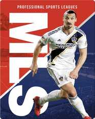 Professional Sports Leagues: MLS