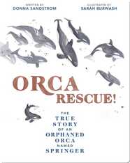 Orca Rescue!: The True Story of an Orphaned Orca Named Springer