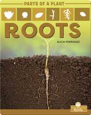 Parts of a Plant: Roots