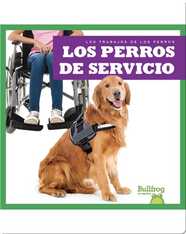 Los perros de servicio