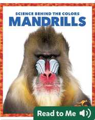 Science Behind the Colors: Mandrills