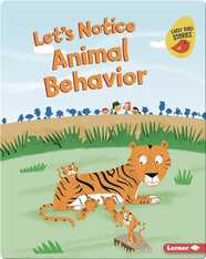 Let's Notice Animal Behavior
