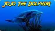Jonathan Bird's Blue World: Searching for Jojo the Dolphin