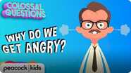 Colossal Questions: Why Do We Get Angry?