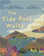 The Tide Pool Waits