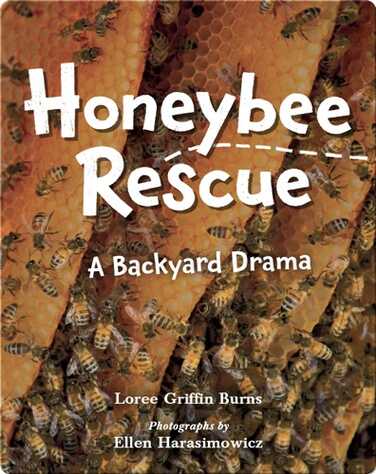 Honeybee Rescue: A Backyard Drama book