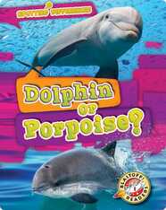Spotting Differences: Dolphin or Porpoise?