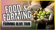 Food and Farming: Farming Olives