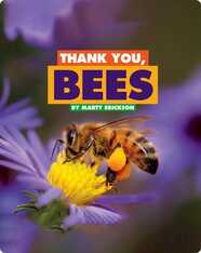 Thank You, Bees