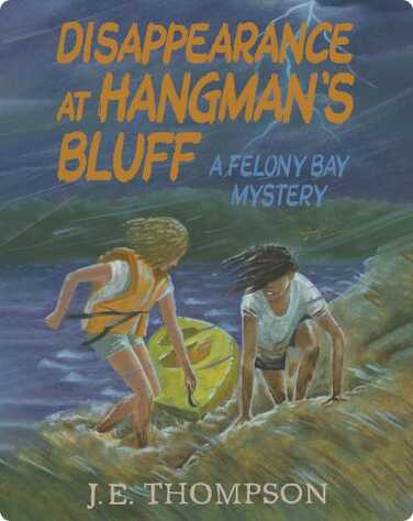 Disappearance at Hangman's Bluff book