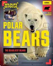 Polar Bears: The Deadliest Bears