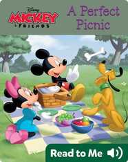 A Perfect Picnic