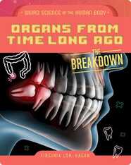 Organs From Time Long Ago