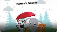Baby Einstein: Nature's Sounds