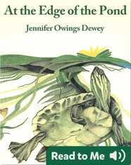 At The Edge Of The Pond