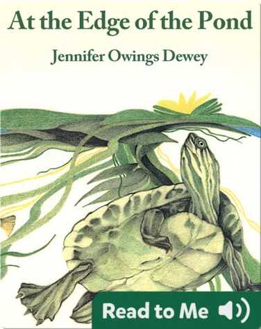 At The Edge Of The Pond book